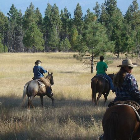 Готель Dream Haven Guest Ranch Marion Екстер'єр фото