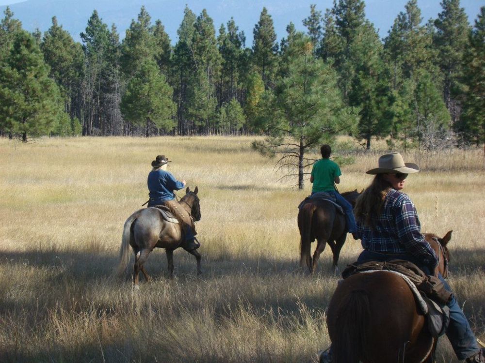 Готель Dream Haven Guest Ranch Marion Екстер'єр фото